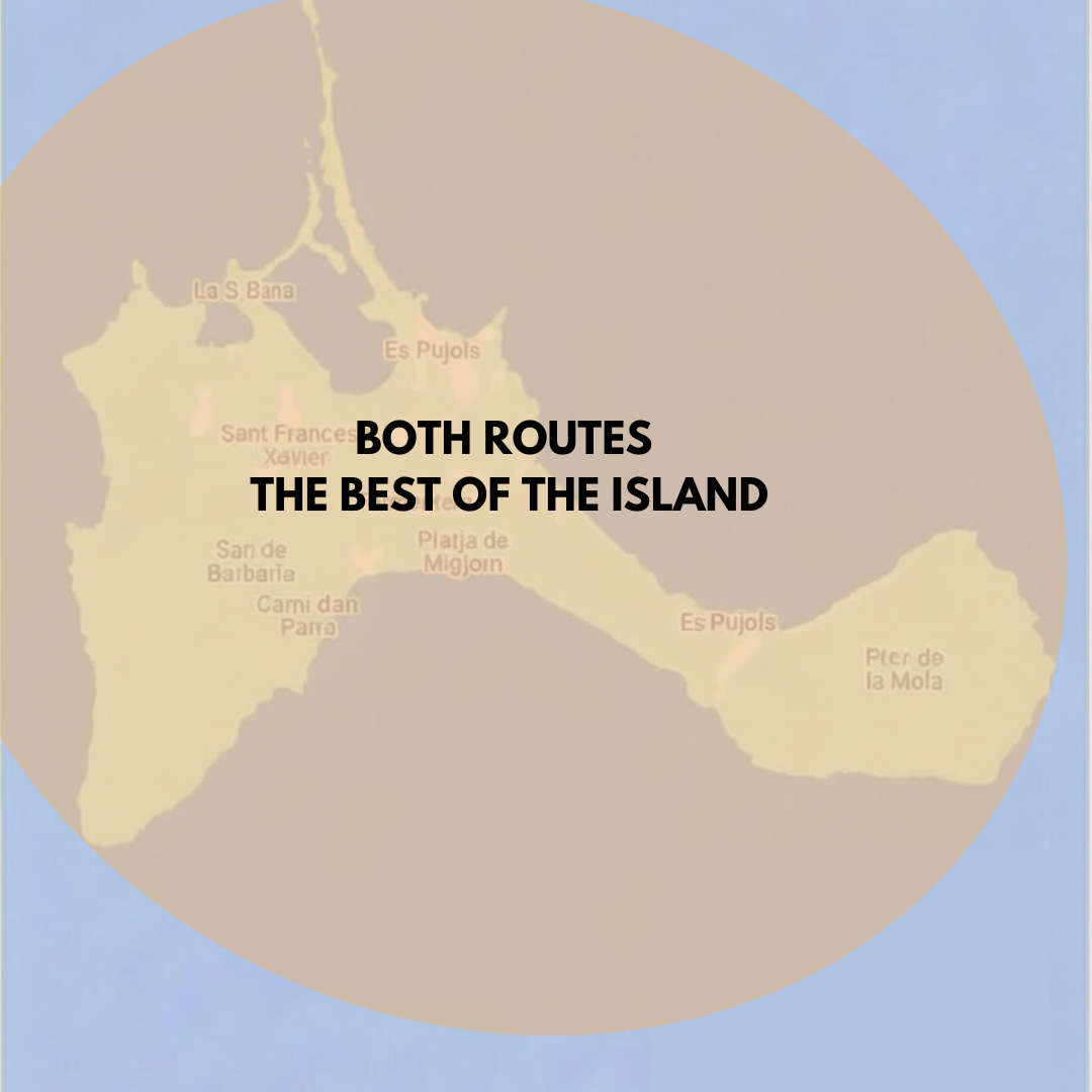 Formentera Bundle - Image 3